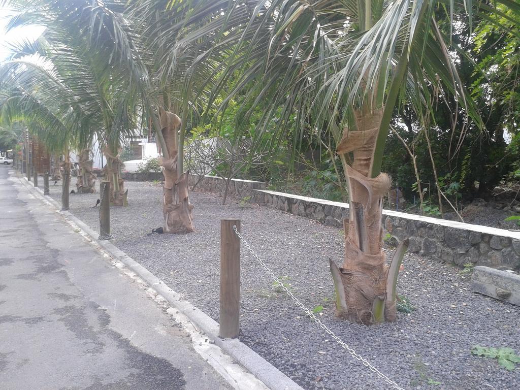 Dodola Lodge Pereybere Beach Eksteriør billede